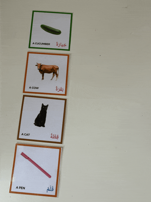 Matching Arabic word cards to picture flashcards: cucumber, cow, cat and pen